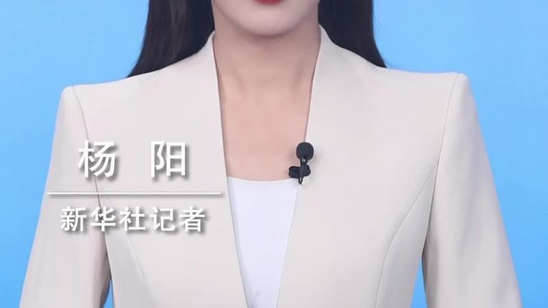 SaaS系统定制开发：企业数字化转型的新引擎